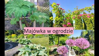 Majówka w Ogrodzie Jadzi Kwitnie wiele krzewów i bylin Ogród Jadzi 194 [upl. by Zoara193]