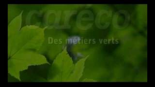 Caréco recyclage automobile [upl. by Calmas]