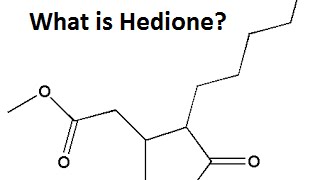 DIOR PART 2 What is Hedione [upl. by Leuas518]