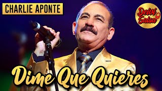 Charlie Aponte  Dime Que Quieres Live [upl. by Morley]