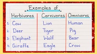 10 Examples of Herbivores Carnivores and Omnivores  Herbivores Carnivores and Omnivores Animal Name [upl. by Thia]