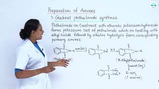 CHEMISTRY 9 2 5 GABRIEL PHTHALIMIDE SYNTHESIS [upl. by Nairadas]