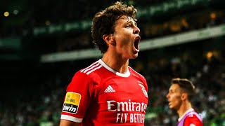 Joao Neves • Crazy Skills amp Tackles • Benfica [upl. by Miriam]