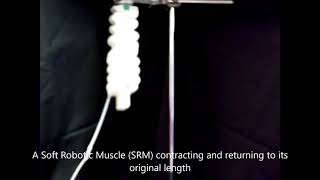 Soft Robotic Artificial Muscle [upl. by Meibers77]