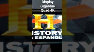 Display Gigablue Quad 4 K [upl. by Jordanson513]