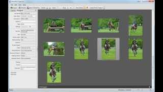 Serif PhotoPlus X6 Tutorial  Introducing PhotoPlus Organizer [upl. by Yelhs635]