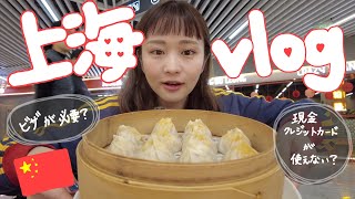 trip vlog｜上海🇨🇳旅行方法を徹底解説します！ [upl. by Maze]