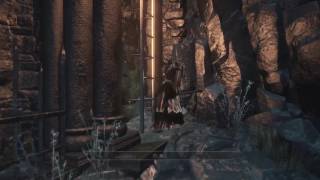 Dark Souls III  Profaned Capital カタリナのタマネギ 、Siegward of Catarina 55 [upl. by Eamanna]