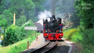 Eisenbahn 2012 45 Dampfloks  Steam Trains  Züge [upl. by Karalee]