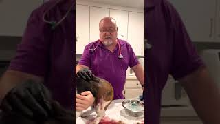 Huge cyst on dog [upl. by Argile]