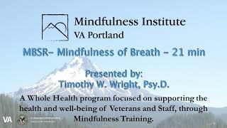 MBSR Guided Practice  Mindfulness of Breath [upl. by Fasto]