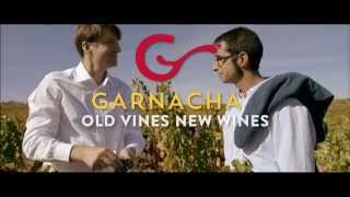 Its time to harvest Garnacha [upl. by Orvan]