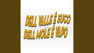 Dell Valle É Suco Dell Mole É Vapo [upl. by Milak]