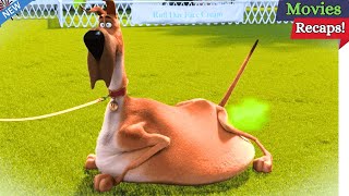 Marmaduke Movie Recaps English  Marmaduke 2022 movie explained in English [upl. by Aztinaj433]