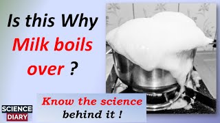 Why does milk spill over while boiling  Why milk boils over I English [upl. by Elda]