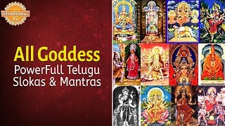 All Goddess Slokas and Mantras  PowerFull Telugu Slokas and Mantras  Devotional TV [upl. by Batista]