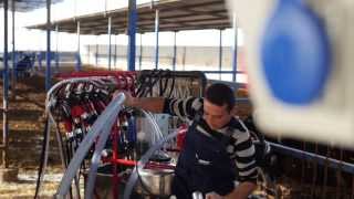 Tulsan TV AD for Mobile Milking System [upl. by Annasiul]