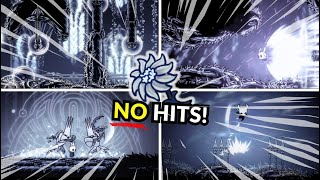 Hollow Knight  Path of Pain Hitless [upl. by Troyes685]