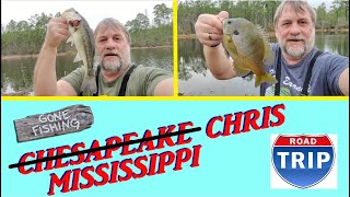 CHATTERBAIT  BASS ONLY NEEDED 1 LURE [upl. by Baxie]