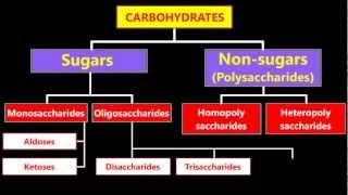 Classification Of Carbohydrates [upl. by Larret]