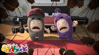 Bugged Out  Oddbods Full Episode  Funny Cartoons for Kids [upl. by Waylan334]