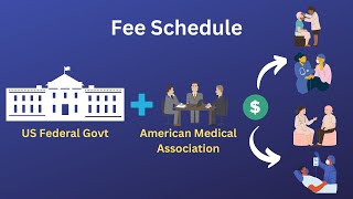 Fee Schedule  US Healthcare [upl. by Swane]