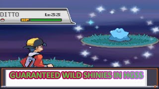 GUARANTEED WILD SHINY POKEMON IN HEART GOLD AND SOUL SILVERHow to RNG Wild Pokemon in HGSS [upl. by Junieta]