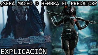 ¿Será Macho o Hembra el Nuevo Predator  La Nueva Información de Predator Prey Explicada [upl. by Yrogreg]