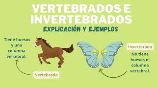 LOS ANIMALES VERTEBRADOS E INVERTEBRADOS [upl. by Filberte]