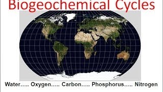 Biogeochemical Cycles honors biology updated [upl. by Ahseia]