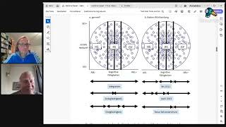 Hartmut Esser  Whats Wrong with Ability Tracking  Leistungsniveau und Bildungsgerechtigkeit [upl. by Niledam]