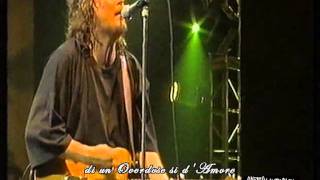 Zucchero  Overdose damore Live 1995 [upl. by Enriqueta]