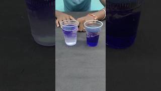 New science experiment with colour vs salt and water viralshorts shorts [upl. by Teraj828]