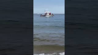 Watch as shark swims off Cape Cod shore within 10 feet of Race Point Beach in Provincetown [upl. by Allicerp295]