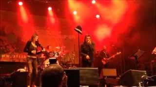 Rachid Taha  Ya Rayah  Live in Vienna 2014 [upl. by Srevart]