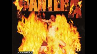 Pantera  Revolution Is My Name [upl. by Zondra]