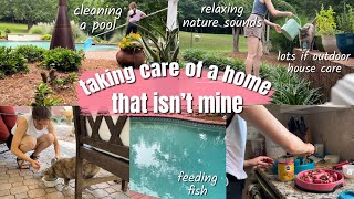 House Sitting  Pet Sitting Days In My Life │ Pool CleaningFeeding DogsCatsFishWatering Plants [upl. by Enneite489]