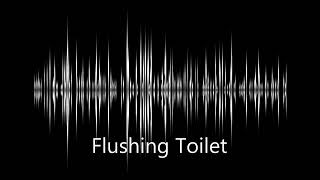 Sound Effect Flushing toilet [upl. by Betthel]