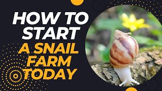 HOW TO START A SNAIL FARM TODAY ​⁠​⁠ roovisionsnailfarm [upl. by Innob]