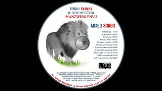 Tendai Shamhu Mukadzi Wangump3 [upl. by Adorl]