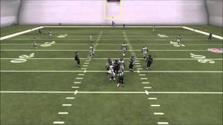 Best run defense in Madden 25 Blitz Compliment [upl. by Notsirk]