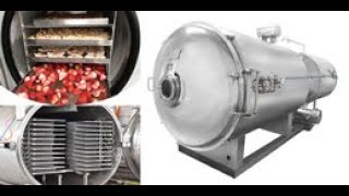 Industrial Fruit Food Vacuum Freeze Dryer Test [upl. by Ardle506]