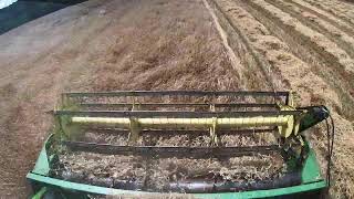 Combining Triticale Livestream [upl. by Reivaz232]