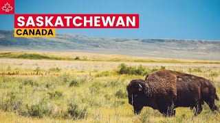 Canada Road Trip Best Things To Do In Saskatchewan [upl. by Ahsinej]