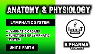 Lymphatic System  Lymph Nodes  Lymphatic Organs  Human Anatomy And Physiology  HAP [upl. by Oirottiv]