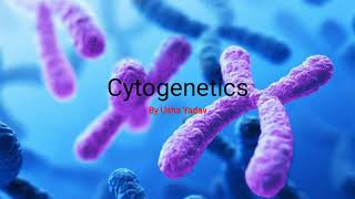 CSIR Basic concept of Cytogenetic  karyotype   BioLog [upl. by Nassi]