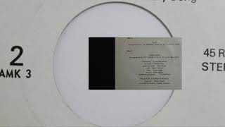 Tranquility Base  The Future And The Past Rare Canadian Folk Rock 1973 45rpm [upl. by Sparks169]