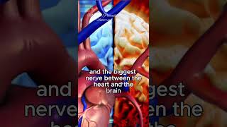 USING OUR HEART amp BRAIN Gregg Braden [upl. by Apollo21]