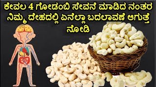 Health Benefits of Godambi  cashews benefits  ಗೋಡಂಬಿ ಉಪಯೋಗಗಳು [upl. by Eddra521]