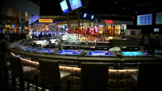 Race amp Sports Book Bar Opening  Caesars Palace Las Vegas [upl. by Oetam]